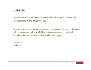 Dr.Jaffar Raza Syed | 1
Cementum
Cementum is calcified avascular mesenchymal tissue that forms the
outer covering of the anatomic root.
Cementum is a mineralised tissue overlying the root dentine. It does not
undergo physiological remodelling but is continuously deposited
throughout life. Cementum is classified into two types:
• Acellular.
• Cellular.
 