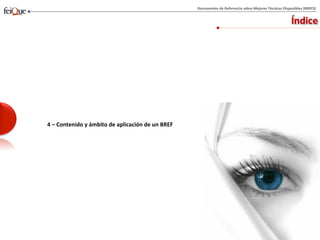 Proceso de elaboración del BREF “Common Waste Water and Waste Gas ...