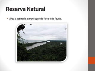 Reserva Natural
• Área destinada à protecção da flora e da fauna.
 