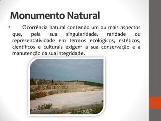 Monumento Natural
•       Ocorrência natural contendo um ou mais aspectos
    que,     pela    sua    singularidade, raridade   ou
    representatividade em termos ecológicos, estéticos,
    científicos e culturais exigem a sua conservação e a
    manutenção da sua integridade.
 