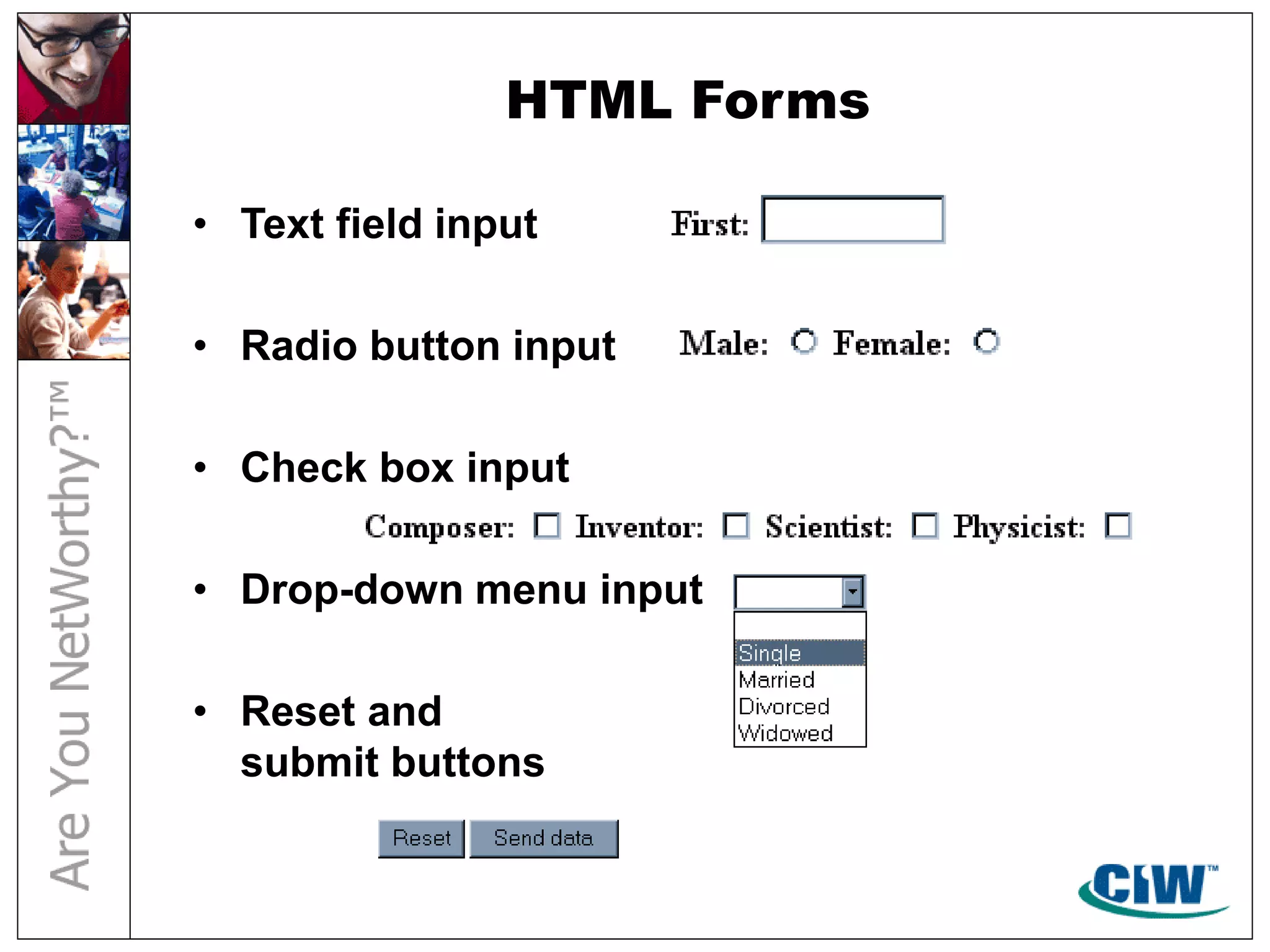 HTML Forms
• Text field input
• Radio button input
• Check box input
• Drop-down menu input
• Reset and
submit buttons
 