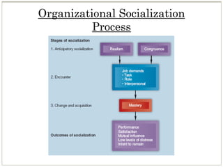 Organizational Socialization
Process
 