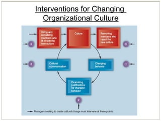 Interventions for Changing
Organizational Culture
 