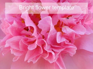 Bright flower template 