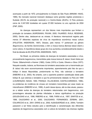 11
acentuado a partir de 1972, principalmente no Estado de São Paulo (MINAMI; HAAG,
1989). No mercado nacional merecem destaque como grandes regiões produtoras o
Sudeste (50,3% da produção nacional) e o Centro-Oeste (26,8%). O País produziu
cerca de 3.347.000 toneladas em quase 57.000 hectares no ano agrícola de 2004
(FNP, 2005).
As doenças representam um dos fatores mais importantes que limitam a
produção do tomateiro (KUROSAWA; PAVAN, 2005; FAJARDO; ÁVILA; RESENDE,
2000). Dentre elas, destacam-se as viroses. A literatura internacional registra pelo
menos 37 diferentes espécies de vírus de importância econômica nessa cultura
(POLSTON; ANDERSON, 1997). Desses, pelo menos 17 pertencem ao gênero
Begomovirus, da família Geminiviridae, e têm a mosca branca Bemisia tabaci (Genn.)
como vetora. A importância desse grupo de vírus aumentou consideravelmente desde o
final da década de 80 (POLSTON; ANDERSON, 1997).
No Brasil, os primeiros relatos de doenças do tomateiro associadas a vírus,
provavelmente begomovirus, transmitidos pela mosca branca B. tabaci, foram feitos por
Flores; Silberschmidt e Kramer (1960), Costa (1974) e Costa; Oliveira e Silva (1977).
Naquela ocasião, todavia, as fitoviroses do tomateiro associadas com a transmissão por
B. tabaci não eram economicamente importantes, aparentemente pelo fato de que o
biótipo A desse Aleyrodidae, predominante no País, não colonizar o tomateiro
(RIBEIRO et al., 2003). No entanto, com a aparente posterior substituição deste pelo
biótipo B, que coloniza o tomateiro e que foi primeiramente relatado no País em 1994
(LOURENÇÃO; NAGAI, 1994; FRANÇA; VILLAS-BOAS; CASTELO-BRANCO, 1996),
os problemas de incidência de viroses em tomateiro transmitidas por esse inseto se
intensificaram (RIBEIRO et al., 1998). A partir dessa época, até os dias atuais, passou-
se a relatar surtos de doenças do tomateiro relacionadas com begomovirus, com
porcentagens elevadas de plantas infectadas e danos significativos na produção
(SOUZA-DIAS et al., 1996; RIBEIRO et al., 1996; FARIA et al., 1997; SANTOS et al.,
1998; CALEGARIO et al., 2000; CALEGARIO; FERNANDES; ZERBINI, 2001;
COLARICCIO et al., 2001; EIRAS et al., 2002; ALBUQUERQUE et al., 2004). Também
passaram a ser feitos estudos para a identificação e caracterização das diferentes
espécies de begomovirus associados com a cultura do tomateiro nas diversas regiões
 