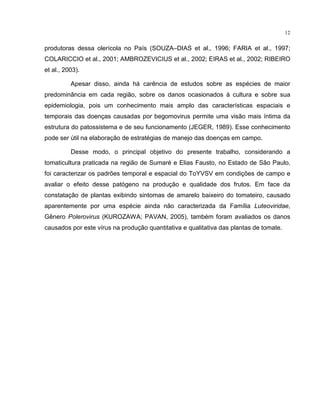 12
produtoras dessa olerícola no País (SOUZA–DIAS et al., 1996; FARIA et al., 1997;
COLARICCIO et al., 2001; AMBROZEVICIUS et al., 2002; EIRAS et al., 2002; RIBEIRO
et al., 2003).
Apesar disso, ainda há carência de estudos sobre as espécies de maior
predominância em cada região, sobre os danos ocasionados à cultura e sobre sua
epidemiologia, pois um conhecimento mais amplo das características espaciais e
temporais das doenças causadas por begomovirus permite uma visão mais íntima da
estrutura do patossistema e de seu funcionamento (JEGER, 1989). Esse conhecimento
pode ser útil na elaboração de estratégias de manejo das doenças em campo.
Desse modo, o principal objetivo do presente trabalho, considerando a
tomaticultura praticada na região de Sumaré e Elias Fausto, no Estado de São Paulo,
foi caracterizar os padrões temporal e espacial do ToYVSV em condições de campo e
avaliar o efeito desse patógeno na produção e qualidade dos frutos. Em face da
constatação de plantas exibindo sintomas de amarelo baixeiro do tomateiro, causado
aparentemente por uma espécie ainda não caracterizada da Família Luteoviridae,
Gênero Polerovirus (KUROZAWA; PAVAN, 2005), também foram avaliados os danos
causados por este vírus na produção quantitativa e qualitativa das plantas de tomate.
 