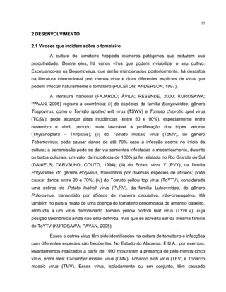 13
2 DESENVOLVIMENTO
2.1 Viroses que incidem sobre o tomateiro
A cultura do tomateiro hospeda inúmeros patógenos que reduzem sua
produtividade. Dentre eles, há vários vírus que podem inviabilizar o seu cultivo.
Excetuando-se os Begomovirus, que serão mencionados posteriormente, há descritos
na literatura internacional pelo menos vinte e duas diferentes espécies de vírus que
podem infectar naturalmente o tomateiro (POLSTON; ANDERSON, 1997).
A literatura nacional (FAJARDO; ÀVILA; RESENDE, 2000; KUROSAWA;
PAVAN, 2005) registra a ocorrência: (i) de espécies da família Bunyaviridae, gênero
Tospovirus, como o Tomato spotted wilt virus (TSWV) e Tomato chlorotic spot virus
(TCSV); pode alcançar altas incidências (entre 50 e 90%), especialmente entre
novembro e abril, período mais favorável à proliferação dos tripes vetores
(Thysanoptera – Thripidae); (ii) do Tomato mosaic virus (ToMV), do gênero
Tobamovirus; pode causar danos de até 70% caso a infecção ocorra no início da
cultura; a transmissão pode se dar via sementes infectadas e mecanicamente, durante
os tratos culturais; um valor de incidência de 100% já foi relatada no Rio Grande do Sul
(DANIELS; CARVALHO; COUTO, 1994); (iii) do Potato virus Y (PVY), da família
Potyviridae, do gênero Potyvirus, transmitido por diversas espécies de afídeos; pode
causar danos entre 20 e 70%; (iv) do Tomato yellow top virus (ToYTV), considerada
uma estirpe do Potato leafroll virus (PLRV), da família Luteoviridae, do gênero
Polerovirus, transmitido por afídeos de maneira circulativa, não-propagativa. Há
também no país o relato de uma doença do tomateiro denominada de amarelo baixeiro,
atribuída a um vírus denominado Tomato yellow bottom leaf virus (TYBLV), cuja
posição taxonômica ainda não está definida, mas que se acredita ser da mesma família
do ToYTV (KUROSAWA; PAVAN, 2005).
Esses e outros vírus têm sido identificados na cultura do tomateiro e infecções
com diferentes espécies são freqüentes. No Estado do Alabama, E.U.A., por exemplo,
levantamentos realizados a partir de 1992 mostraram a presença de pelo menos cinco
vírus, entre eles: Cucumber mosaic virus (CMV), Tobacco etch virus (TEV) e Tobacco
mosaic virus (TMV). Esses vírus, isoladamente ou em conjunto, têm causado
 