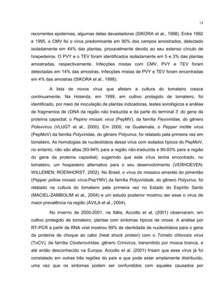 14
recorrentes epidemias, algumas delas devastadoras (SIKORA et al., 1998). Entre 1992
e 1995, o CMV foi o vírus predominante em 90% dos campos amostrados, detectado
isoladamente em 44% das plantas, provavelmente devido ao seu extenso círculo de
hospedeiros. O PVY e o TEV foram identificados isoladamente em 5 e 3% das plantas
amostradas, respectivamente. Infecções mistas com CMV, PVY e TEV foram
detectadas em 14% das amostras. Infecções mistas de PVY e TEV foram encontradas
em 4% das amostras (SIKORA et al., 1998).
A lista de novos vírus que afetam a cultura do tomateiro cresce
continuamente. Na Holanda, em 1999, em cultivo protegido de tomateiro, foi
identificado, por meio de inoculação de plantas indicadoras, testes sorológicos e análise
de fragmentos de cDNA da região não traduzida e da parte do terminal 3’ do gene da
proteína capsidial, o Pepino mosaic virus (PepMV), da família Flexiviridae, do gênero
Potexvirus (VLUGT et al., 2000). Em 2000, na Guatemala, o Pepper mottle virus
(PepMoV) da família Potyviridae, do gênero Potyvirus, foi relatado pela primeira vez em
tomateiro. As homologias de nucleotídeos desse vírus com isolados típicos do PepMoV,
no entanto, não são altas (93-94% para a região não-traduzida e 90-93% para a região
do gene da proteína capsidial), sugerindo que este vírus tenha encontrado, no
tomateiro, um hospedeiro alternativo para o seu desenvolvimento (VERHOEVEN;
WILLEMEN; ROENHORST, 2002). No Brasil, o vírus do mosaico amarelo do pimentão
(Pepper yellow mosaic vírus-PepYMV) da família Potyviridade, do gênero Potyvirus, foi
relatado na cultura do tomateiro pela primeira vez no Estado do Espírito Santo
(MACIEL-ZAMBOLIM et al., 2004) e um estudo posterior mostrou ser esse o vírus de
maior prevalência na região (ÁVILA et al., 2004).
No inverno de 2000-2001, na Itália, Accotto et al. (2001) observaram, em
cultivo protegido de tomateiro, plantas com sintomas típicos de virose. A análise por
RT-PCR a partir de RNA viral mostrou 99% de identidade de nucleotídeos para o gene
da proteína de choque ao calor (heat shock protein) com o Tomato chlorosis virus
(ToCV), da família Closteroviridae, gênero Crinivirus, transmitido por mosca branca, e
até então desconhecido na Europa. Accotto et al. (2001) frisam que esse vírus já foi
constatado em outras três regiões do país e que pode estar amplamente distribuído,
uma vez que os sintomas podem ser confundidos com aqueles causados por
 