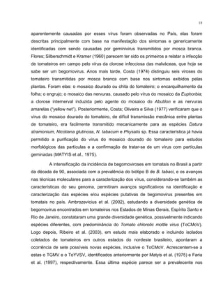 18
aparentemente causadas por esses vírus foram observadas no País, elas foram
descritas principalmente com base na manifestação dos sintomas e genericamente
identificadas com sendo causadas por geminivirus transmitidos por mosca branca.
Flores; Silberschmidt e Kramer (1960) parecem ter sido os primeiros a relatar a infecção
de tomateiros em campo pelo vírus da clorose infecciosa das malváceas, que hoje se
sabe ser um begomovirus. Anos mais tarde, Costa (1974) distinguiu seis viroses do
tomateiro transmitidas por mosca branca com base nos sintomas exibidos pelas
plantas. Foram elas: o mosaico dourado ou chita do tomateiro; o encarquilhamento da
folha; o engrujo; o mosaico das nervuras, causado pelo vírus do mosaico da Euphorbia;
a clorose internerval induzida pelo agente do mosaico do Abutilon e as nervuras
amarelas (“yellow net”). Posteriormente, Costa; Oliveira e Silva (1977) verificaram que o
vírus do mosaico dourado do tomateiro, de difícil transmissão mecânica entre plantas
de tomateiro, era facilmente transmitido mecanicamente para as espécies Datura
stramonium, Nicotiana glutinosa, N. tabacum e Physalis sp. Essa característica já havia
permitido a purificação do vírus do mosaico dourado do tomateiro para estudos
morfológicos das partículas e a confirmação de tratar-se de um vírus com partículas
geminadas (MATYIS et al., 1975).
A intensificação da incidência de begomoviroses em tomatais no Brasil a partir
da década de 90, associada com a prevalência do biótipo B de B. tabaci, e os avanços
nas técnicas moleculares para a caracterização dos vírus, considerando-se também as
características do seu genoma, permitiram avanços significativos na identificação e
caracterização das espécies e/ou espécies putativas de begomovirus presentes em
tomatais no país. Ambrozevicius et al. (2002), estudando a diversidade genética de
begomovirus encontrados em tomateiros nos Estados de Minas Gerais, Espírito Santo e
Rio de Janeiro, constataram uma grande diversidade genética, possivelmente indicando
espécies diferentes, com predominância do Tomato chlorotic mottle virus (ToCMoV).
Logo depois, Ribeiro et al. (2003), em estudo mais elaborado e incluindo isolados
coletados de tomateiros em outros estados do nordeste brasileiro, apontaram a
ocorrência de sete possíveis novas espécies, inclusive o ToCMoV. Acrescentem-se a
estas o TGMV e o ToYVSV, identificados anteriormente por Matyis et al. (1975) e Faria
et al. (1997), respectivamente. Essa última espécie parece ser a prevalecente nos
 