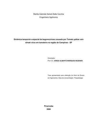 Marilia Gabriela Salveti Della Vecchia
Engenheiro Agrônomo
Dinâmica temporal e espacial da begomovirose causada por Tomato yellow vein
streak virus em tomateiro na região de Campinas - SP
Orientador:
Prof. Dr. JORGE ALBERTO MARQUES REZENDE
Tese apresentada para obtenção do título de Doutor
em Agronomia. Área de concentração: Fitopatologia
Piracicaba
2006
 
