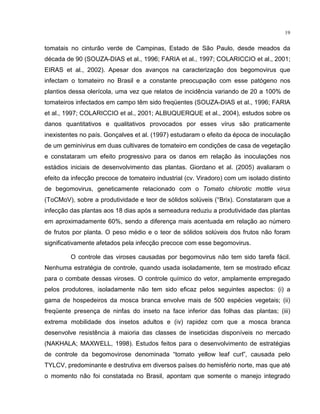 19
tomatais no cinturão verde de Campinas, Estado de São Paulo, desde meados da
década de 90 (SOUZA-DIAS et al., 1996; FARIA et al., 1997; COLARICCIO et al., 2001;
EIRAS et al., 2002). Apesar dos avanços na caracterização dos begomovirus que
infectam o tomateiro no Brasil e a constante preocupação com esse patógeno nos
plantios dessa olerícola, uma vez que relatos de incidência variando de 20 a 100% de
tomateiros infectados em campo têm sido freqüentes (SOUZA-DIAS et al., 1996; FARIA
et al., 1997; COLARICCIO et al., 2001; ALBUQUERQUE et al., 2004), estudos sobre os
danos quantitativos e qualitativos provocados por esses vírus são praticamente
inexistentes no país. Gonçalves et al. (1997) estudaram o efeito da época de inoculação
de um geminivirus em duas cultivares de tomateiro em condições de casa de vegetação
e constataram um efeito progressivo para os danos em relação às inoculações nos
estádios iniciais de desenvolvimento das plantas. Giordano et al. (2005) avaliaram o
efeito da infecção precoce de tomateiro industrial (cv. Viradoro) com um isolado distinto
de begomovirus, geneticamente relacionado com o Tomato chlorotic mottle virus
(ToCMoV), sobre a produtividade e teor de sólidos solúveis (°Brix). Constataram que a
infecção das plantas aos 18 dias após a semeadura reduziu a produtividade das plantas
em aproximadamente 60%, sendo a diferença mais acentuada em relação ao número
de frutos por planta. O peso médio e o teor de sólidos solúveis dos frutos não foram
significativamente afetados pela infecção precoce com esse begomovirus.
O controle das viroses causadas por begomovirus não tem sido tarefa fácil.
Nenhuma estratégia de controle, quando usada isoladamente, tem se mostrado eficaz
para o combate dessas viroses. O controle químico do vetor, amplamente empregado
pelos produtores, isoladamente não tem sido eficaz pelos seguintes aspectos: (i) a
gama de hospedeiros da mosca branca envolve mais de 500 espécies vegetais; (ii)
freqüente presença de ninfas do inseto na face inferior das folhas das plantas; (iii)
extrema mobilidade dos insetos adultos e (iv) rapidez com que a mosca branca
desenvolve resistência à maioria das classes de inseticidas disponíveis no mercado
(NAKHALA; MAXWELL, 1998). Estudos feitos para o desenvolvimento de estratégias
de controle da begomovirose denominada “tomato yellow leaf curl”, causada pelo
TYLCV, predominante e destrutiva em diversos países do hemisfério norte, mas que até
o momento não foi constatada no Brasil, apontam que somente o manejo integrado
 