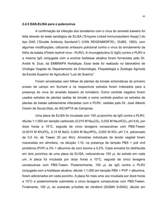 40
2.4.5 DAS-ELISA para o polerovirus
A confirmação da infecção dos tomateiros com o vírus do amarelo baixeiro foi
feita através do teste serológico de ELISA (“Enzyme Linked Immunosorbent Assay”) do
tipo DAS (“Double Antibody Sandwich”) (VAN REGENMORTEL; DUBS, 1993), com
algumas modificações, utilizando antissoro policlonal contra o vírus do enrolamento da
folha da batata (Potato leafroll virus - PLRV). A imunoglobulina G (IgG) contra o PLRV e
a mesma IgG conjugada com a enzima fosfatase alcalina foram fornecidas pelo Dr.
André N. Dusi, da EMBRAPA Hortaliças. Esse teste foi realizado no laboratório de
Virologia Vegetal do Departamento de Entomologia, Fitopatologia e Zoologia Agrícola
da Escola Superior de Agricultura “Luiz de Queiroz”.
Foram amostradas cem folhas de plantas de tomate sintomáticas do primeiro
ensaio de campo em Sumaré e os respectivos extratos foram indexados para a
presença do vírus do amarelo baixeiro do tomateiro. Como controle negativo foram
usados extratos de plantas sadias de tomate e como controle positivo os extratos de
plantas de batata sabidamente infectadas com o PLRV, cedidas pelo Dr. José Alberto
Caram de Souza Dias, do IAC/APTA de Campinas.
Uma placa de ELISA foi incubada com 100 µL/pocinho da IgG contra o PLRV,
diluída 1:1.000 em tampão carbonato (0,015 M Na2CO3, 0,035 M Na3HCO3, pH 9,6), por
doze horas a 10°C, seguida de cinco lavagens consecutivas com PBS-Tween
(0,0015 M KH2PO4, 0,14 M NaCl, 0,004 M Na2HPO4, 0,003 M KCl, pH 7,4, adicionado
de 0,5 mL de Tween 20 por litro). Amostras individuais de tecido vegetal foram
maceradas em almofariz, na diluição 1:10, na presença de tampão PBS + poli vinil
pirolidona (PVP) a 2% + albumina de soro bovina a 0,2%. Cada amostra foi distribuída
em dois pocinhos de uma placa de ELISA, colocando-se 100 µL do extrato em cada
um. A placa foi incubada por doze horas a 10°C, seguida de cinco lavagens
consecutivas com PBS-Tween. Posteriormente, 100 µL da IgG contra o PLRV
conjugada com a fosfatase alcalina, diluída 1:1.000 em tampão PBS + PVP + albumina,
foram adicionados em cada pocinho. A placa foi mais uma vez incubada por doze horas
a 10°C e posteriormente submetida a cinco lavagens consecutivas com PBS-Tween.
Finalmente, 100 µL do substrato p-fosfato de nitrofenil (SIGMA S-0942), diluído em
 