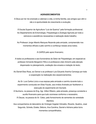 4
AGRADECIMENTOS
A Deus por ter me ensinado a valorizar a vida, à minha família, aos amigos que vêm e
vão e à oportunidade de crescimento e evolução;
À Escola Superior de Agricultura “Luiz de Queiroz” pela formação profissional;
Ao Departamento de Entomologia, Fitopatologia e Zoologia Agrícola por toda a
estrutura e assistência necessárias à realização deste trabalho;
Ao Professor Jorge Alberto Marques Rezende pela amizade, compreensão nos
momentos difíceis e pelo carinho e confiança nesses anos todos;
À CAPES pelo apoio financeiro;
A todos os professores e aos funcionários do Setor de Fitopatologia; em especial ao
professor Armando Bergamin Filho e à professora Lilian Amorim pela atenção
dispensada no planejamento, avaliação dos ensaios e redação do texto;
Ao Daniel Dias Rosa, ao Osmar e ao professor Luis Eduardo Aranha Camargo por toda
a cooperação na realização dos seqüenciamentos;
Ao Sr. Luis Carlos Lúcio e sua esposa pela amizade e carinho durante todo o
experimento conduzido em Elias Fausto, aos irmãos Andrade por facilitarem a
execução do experimento em Sumaré;
À Nunhens, na pessoa do Eng. Agr. Aílton Ribeiro, pela amizade, presença constante e
auxílio financeiro para que tudo ocorresse conforme o necessário;
À Clause, na pessoa do Sr. Celso, pelo fornecimento de sementes da variedade
Alambra;
Aos companheiros do laboratório de Virologia Vegetal: Edivaldo, Ricardo, Quelmo, José
Segundo, Scheila, Estela, Débora, Ana Carolina, Daniel e Adriana pelos bons
momentos compartilhados;
 