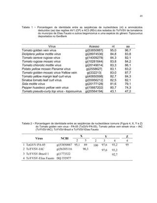 49
Tabela 1 - Porcentagem de identidade entre as seqüências de nucleotídeos (nt) e aminoácidos
deduzidos (aa) das regiões AV1 (CP) e AC3 (REn) dos isolados do ToYVSV de tomateiros
do município de Elias Fausto e outros begomovirus e uma espécie do gênero Topocuvirus
depositados no GenBank
Vírus Acesso nt aa
Tomato golden vein virus gi|53850887| 95,0 96,7
Dicliptera yellow mottle virus gi|28974536| 84,8 83,8
Tomato sereve rugose virus gi|14009278| 84,3 82,1
Tomato rugose mosaic virus gi|10281644| 83,8 84,2
Tomato chlorotic mottle virus gi|20149014| 83,3 86,1
Potato yellow mosaic Panama virus gi|2558627| 83,1 83,2
Tomato golden mosaic virus-Yellow vein gi|332213| 83,0 87,7
Tomato yellow margin leaf curl virus gi|40850598| 82,7 84,3
Sinaloa tomato leaf curl vírus gi|55956212| 82,5 82,1
Sida mottle vírus gi|20177128| 81,6 79,1
Pepper huasteco yellow vein virus gi|15667202| 80,7 74,3
Tomato pseudo-curly top virus - topocuvirus gi|20564194| 43,1 47,2
Tabela 2 - Porcentagem de identidade entre as seqüências de nucleotídeos comuns (Figura 4, X, Y e Z)
do Tomato golden vein virus - PA-05 (ToGVV-PA-05), Tomato yellow vein streak virus – IAC
(ToYVSV-IAC), ToYVSV-Brazil e ToYVSV-Elias Fausto
X Y Z
Vírus NCBI
2 3 2 3 4 4
1 ToGVV-PA-05 gi|53850887 95,1 89 100 97,6 93,2 95
2 ToYVSV-IAC gi|56385116 90,3 97,6 93,2
3 ToYVSV-Brazil 1 gi|1773322 92,7
4 ToYVSV-Elias Fausto DQ 355977
 