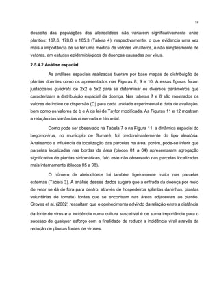 58
despeito das populações dos aleirodídeos não variarem significativamente entre
plantios: 167,6, 178,0 e 165,3 (Tabela 4), respectivamente, o que evidencia uma vez
mais a importância de se ter uma medida de vetores virulíferos, e não simplesmente de
vetores, em estudos epidemiológicos de doenças causadas por vírus.
2.5.4.2 Análise espacial
As análises espaciais realizadas tiveram por base mapas de distribuição de
plantas doentes como os apresentados nas Figuras 8, 9 e 10. A essas figuras foram
justapostos quadrats de 2x2 e 5x2 para se determinar os diversos parâmetros que
caracterizam a distribuição espacial da doença. Nas tabelas 7 e 8 são mostrados os
valores do índice de dispersão (D) para cada unidade experimental e data de avaliação,
bem como os valores de b e A da lei de Taylor modificada. As Figuras 11 e 12 mostram
a relação das variâncias observada e binomial.
Como pode ser observado na Tabela 7 e na Figura 11, a dinâmica espacial do
begomovirus, no município de Sumaré, foi predominantemente do tipo aleatória.
Analisando a influência da localização das parcelas na área, porém, pode-se inferir que
parcelas localizadas nas bordas da área (blocos 01 a 04) apresentaram agregação
significativa de plantas sintomáticas, fato este não observado nas parcelas localizadas
mais internamente (blocos 05 a 08).
O número de aleirodídeos foi também ligeiramente maior nas parcelas
externas (Tabela 3). A análise desses dados sugere que a entrada da doença por meio
do vetor se dá de fora para dentro, através de hospedeiros (plantas daninhas, plantas
voluntárias de tomate) fontes que se encontram nas áreas adjacentes ao plantio.
Groves et al. (2002) ressaltam que o conhecimento advindo da relação entre a distância
da fonte de vírus e a incidência numa cultura suscetível é de suma importância para o
sucesso de qualquer esforço com a finalidade de reduzir a incidência viral através da
redução de plantas fontes de viroses.
 