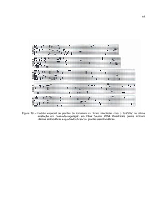 63
Figura 10 – Padrão espacial de plantas de tomateiro cv. Ikram infectadas com o ToYVSV na última
avaliação em casas-de-vegetação em Elias Fausto, 2004. Quadrados pretos indicam
plantas sintomáticas e quadrados brancos, plantas assintomáticas
 
