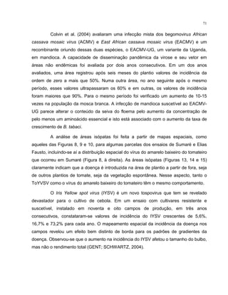71
Colvin et al. (2004) avaliaram uma infecção mista dos begomovirus African
cassava mosaic virus (ACMV) e East African cassava mosaic virus (EACMV) e um
recombinante oriundo dessas duas espécies, o EACMV-UG, um variante da Uganda,
em mandioca. A capacidade de disseminação pandêmica da virose e seu vetor em
áreas não endêmicas foi avaliada por dois anos consecutivos. Em um dos anos
avaliados, uma área registrou após seis meses do plantio valores de incidência da
ordem de zero a mais que 50%. Numa outra área, no ano seguinte após o mesmo
período, esses valores ultrapassaram os 60% e em outras, os valores de incidência
foram maiores que 90%. Para o mesmo período foi verificado um aumento de 10-15
vezes na população da mosca branca. A infecção de mandioca suscetível ao EACMV-
UG parece alterar o conteúdo da seiva do floema pelo aumento da concentração de
pelo menos um aminoácido essencial e isto está associado com o aumento da taxa de
crescimento de B. tabaci.
A análise de áreas isópatas foi feita a partir de mapas espaciais, como
aqueles das Figuras 8, 9 e 10, para algumas parcelas dos ensaios de Sumaré e Elias
Fausto, incluindo-se aí a distribuição espacial do vírus do amarelo baixeiro do tomateiro
que ocorreu em Sumaré (Figura 8, à direita). As áreas isópatas (Figuras 13, 14 e 15)
claramente indicam que a doença é introduzida na área de plantio a partir de fora, seja
de outros plantios de tomate, seja da vegetação espontânea. Nesse aspecto, tanto o
ToYVSV como o vírus do amarelo baixeiro do tomateiro têm o mesmo comportamento.
O Iris Yellow spot virus (IYSV) é um novo tospovirus que tem se revelado
devastador para o cultivo de cebola. Em um ensaio com cultivares resistente e
suscetível, instalado em noventa e oito campos de produção, em três anos
consecutivos, constataram-se valores de incidência do IYSV crescentes de 5,6%,
16,7% e 73,2% para cada ano. O mapeamento espacial da incidência da doença nos
campos revelou um efeito bem distinto de borda para os padrões de gradientes da
doença. Observou-se que o aumento na incidência do IYSV afetou o tamanho do bulbo,
mas não o rendimento total (GENT; SCHWARTZ, 2004).
 