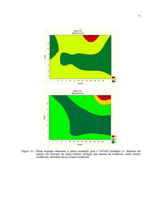 73
Bloco 02
Begomovirus
8
4
0
1 4 7 10 13 16 19 22 25 28 31 34
plantas
1
3
5
7
9
11
13
linhas
Bloco 03
Begomovirus
12
8
4
0
1 4 7 10 13 16 19 22 25 28 31 34
plantas
1
3
5
7
9
11
13
linhas
Figura 14 - Áreas isopatas referentes a última avaliação para o ToYVSV tomateiro cv. Alambra em
campo, em Sumaré. As cores indicam variação dos valores de incidência, verde (menor
incidência), vermelho escuro (maior incidência)
 