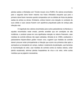 79
plantas sadias e infectadas com Tomato mosaic virus (ToMV). Os valores encontrados
para o segundo clone foram maiores nos frutos infectados enquanto que para o
primeiro clone foram menores quando comparados com os obtidos de frutos de plantas
sadias de ambos os clones. Entretanto, ambos tiveram uma redução no conteúdo de
suco obtido e suas cascas ficaram com aparência prejudicada (pele de cortiça) pela
infecção viral.
A magnitude dos valores encontrados para outros patossitemas na literatura e
aqueles encontrados neste ensaio, permite acreditar que em condições de alta
incidência, o produtor possa ter uma significativa redução no retorno financeiro, caso
medidas de controle efetivas não sejam adotadas. Almeida et al. (1984), analisando o
patossistema feijoeiro-Bean golden mosaic virus, sugerem que medidas de controle
devem procurar evitar principalmente a infecção que ocorre nos primeiros dias após a
semeadura ou transplante em campo, realizar o isolamento da plantação, usar barreiras
à movimentação do vetor, usar medidas de controle contra os insetos vetores, evitar
plantio escalonado, eliminar plantas hospedeiras de vírus e do vetor, entre outras
medidas que se julgarem necessárias.
 
