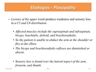 005 Diseases of the peripheral nervous system ppt.pptx