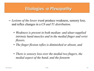005 Diseases of the peripheral nervous system ppt.pptx