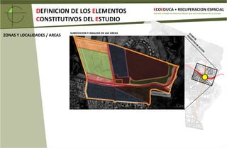 DEFINICION DE CONDICIONANTES / OPORTUNIDADES / RESTRICCIONES DEL ESTUDIO