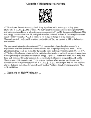 Adenosine Triphosphate Structure
ATP is universal form of free energy in all living organisms and is an energy coupling agent
(Tymoczko et al. 2013. p. 250). When ATP is hydrolyzed to produce adenosine diphosphate (ADP)
and orthophosphate (Pi), or to adenosine monophosphate (AMP) and Pi, free energy is liberated. This
free energy can then be utilized for endergonic reactions that need an input of free energy in order to
occur. The recycling of ATP/ADP is critical to for energy exchange in living organisms.
Thermodynamically unfavorable reactions can be driven if they are coupled to ATP hydrolysis in a
new reaction.
The structure of adenosine triphosphate (ATP) is composed of a three phosphate groups (in a
triphosphate unit) attached to the nucleotide adenine with two phosphoanhydride bonds. The two
phosphoanhydride bonds are formed by the loss of a water molecule (Tymoczko et al. 2013. p. 250).
ATP is formed in chemotrophs through the oxidation of carbon fuels and in photosynthetic organisms
when light energy is converted into chemical energy (Topic 4.2 The Structure and Role of ATP). ATP
has a high phosphoryl transfer potential due to its structural differences compared to ADP and Pi.
These structure differences include (1) electrostatic repulsion, (2) resonance stabilization, and (3)
stabilization due to hydration (Tymoczko et al. 2013. p. 252) At a neutral pH, ATP has four negative
charges that repel each other. However, hydrolysis of ATP reduces this electrostatic repulsion. Also,
ADP and Pi have
... Get more on HelpWriting.net ...
 