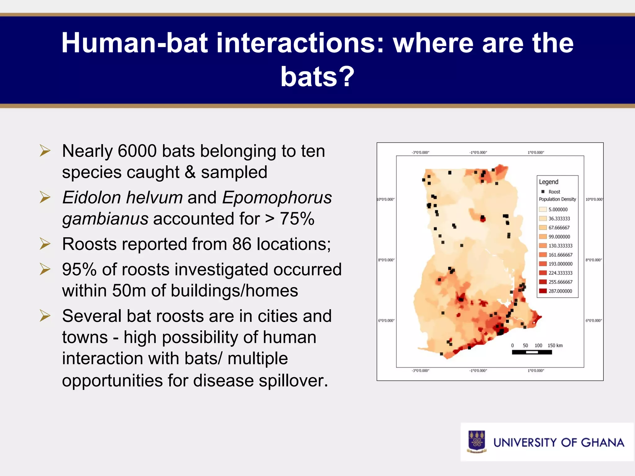 Human-bat interactions and diseases: transmission risks in Ghana | PDF ...
