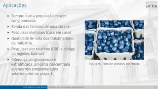 Aplicações
I Sempre que a população estiver
conglomerada.
I Renda das famílias de uma cidade.
I Pesquisas eleitorais (casa em casa).
I Qualidade de vida dos trabalhadores
da indústria.
I Pesquisas por telefone (DDD e código
de regiões, bairros).
I Diferença conglomerado e
estratificada: amostra concentrada
apenas nos conglomerados
selecionados na etapa 1.
Figura 16. Foto de veeterzy no Pexels.
Prof. Wagner Hugo Bonat Métodos de amostragem probabilística 21
 