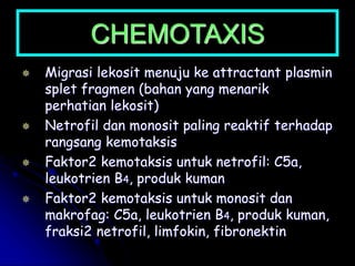 CHEMOTAXIS
 Migrasi lekosit menuju ke attractant plasmin
splet fragmen (bahan yang menarik
perhatian lekosit)
 Netrofil dan monosit paling reaktif terhadap
rangsang kemotaksis
 Faktor2 kemotaksis untuk netrofil: C5a,
leukotrien B4, produk kuman
 Faktor2 kemotaksis untuk monosit dan
makrofag: C5a, leukotrien B4, produk kuman,
fraksi2 netrofil, limfokin, fibronektin
 