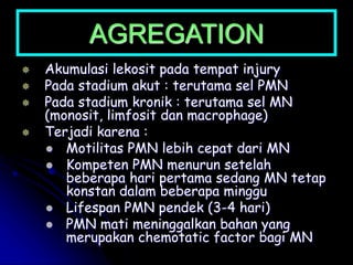 AGREGATION
 Akumulasi lekosit pada tempat injury
 Pada stadium akut : terutama sel PMN
 Pada stadium kronik : terutama sel MN
(monosit, limfosit dan macrophage)
 Terjadi karena :
 Motilitas PMN lebih cepat dari MN
 Kompeten PMN menurun setelah
beberapa hari pertama sedang MN tetap
konstan dalam beberapa minggu
 Lifespan PMN pendek (3-4 hari)
 PMN mati meninggalkan bahan yang
merupakan chemotatic factor bagi MN
 