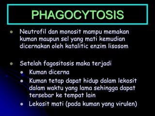PHAGOCYTOSIS
 Neutrofil dan monosit mampu memakan
kuman maupun sel yang mati kemudian
dicernakan oleh katalitic enzim lisosom
 Setelah fagositosis maka terjadi
 Kuman dicerna
 Kuman tetap dapat hidup dalam lekosit
dalam waktu yang lama sehingga dapat
tersebar ke tempat lain
 Lekosit mati (pada kuman yang virulen)
 