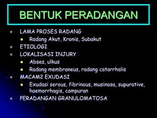 BENTUK PERADANGAN
 LAMA PROSES RADANG
 Radang Akut, Kronis, Subakut
 ETIOLOGI
 LOKALISASI INJURY
 Abses, ulkus
 Radang membraneus, radang catarrhalis
 MACAM2 EXUDASI
 Exudasi serous, fibrinous, musinosa, supurative,
haemorrhagis, campuran
 PERADANGAN GRANULOMATOSA
 