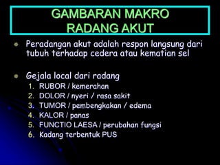 GAMBARAN MAKRO
RADANG AKUT
 Peradangan akut adalah respon langsung dari
tubuh terhadap cedera atau kematian sel
 Gejala local dari radang
1. RUBOR / kemerahan
2. DOLOR / nyeri / rasa sakit
3. TUMOR / pembengkakan / edema
4. KALOR / panas
5. FUNCTIO LAESA / perubahan fungsi
6. Kadang terbentuk PUS
 