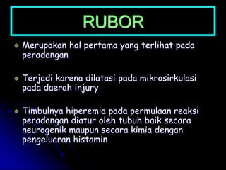 RUBOR
 Merupakan hal pertama yang terlihat pada
peradangan
 Terjadi karena dilatasi pada mikrosirkulasi
pada daerah injury
 Timbulnya hiperemia pada permulaan reaksi
peradangan diatur oleh tubuh baik secara
neurogenik maupun secara kimia dengan
pengeluaran histamin
 