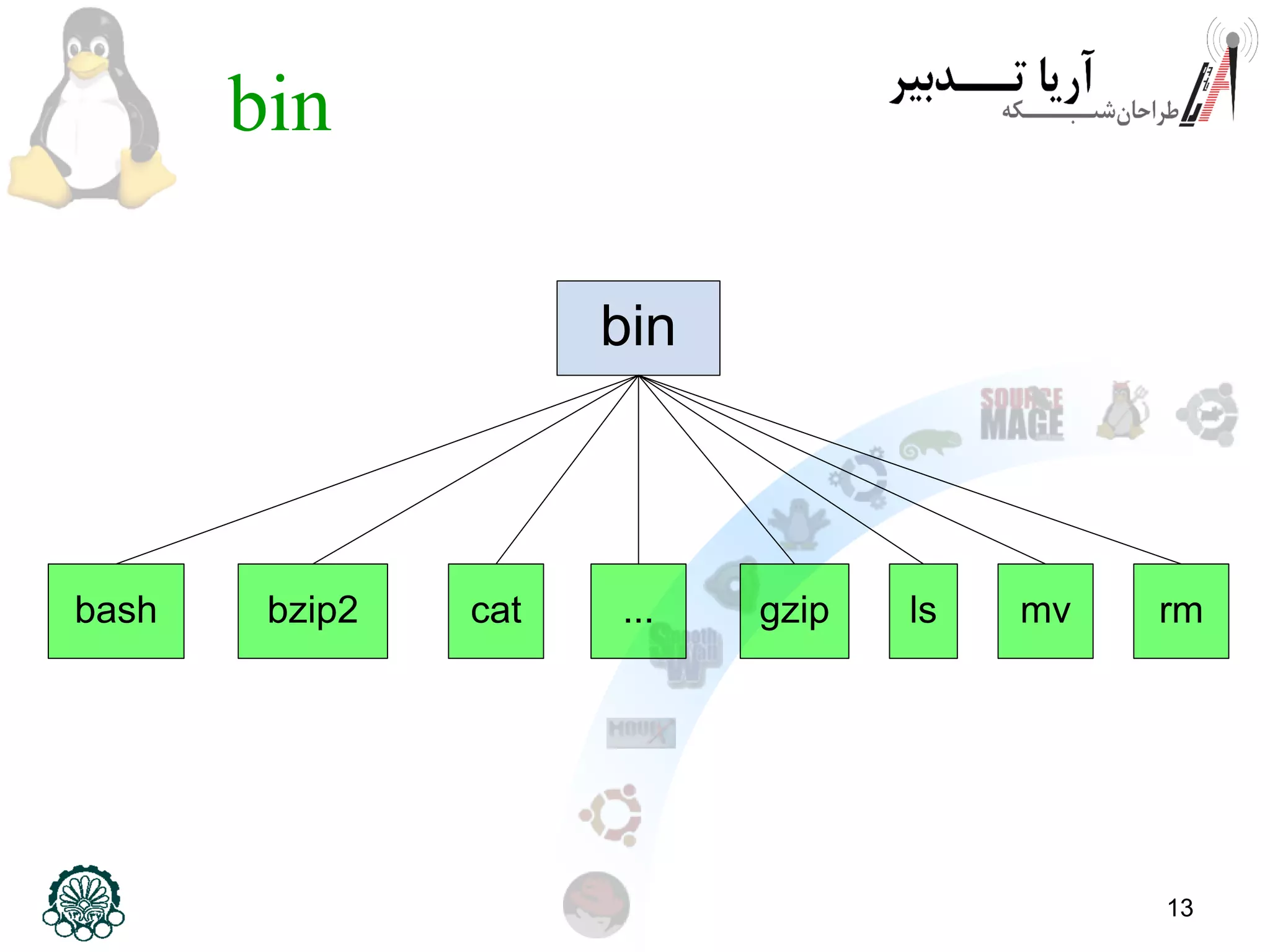 13
bin
bin
bash bzip2 cat gzip ls mv rm...
 