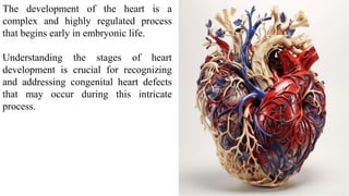 Heart Process.pdf Development of the heart/ Development of the heart.pdf