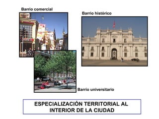 ESPECIALIZACIÓN TERRITORIAL AL
INTERIOR DE LA CIUDAD
Barrio histórico
Barrio comercial
Barrio universitario
 