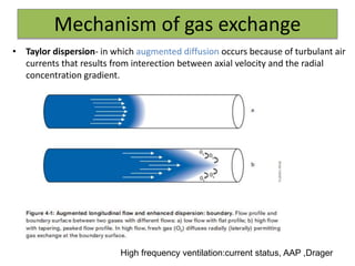 Mechanism of gas exchange
• Taylor dispersion- in which augmented diffusion occurs because of turbulant air
currents that results from interection between axial velocity and the radial
concentration gradient.
High frequency ventilation:current status, AAP ,Drager
 