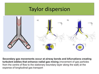 Taylor dispersion
Secondary gas movements occur at airway bends and bifurcations creating
turbulent eddies that enhance radial gas mixing (movement of gas particles
from the centre of flow to the stationary boundary layer along the wall) at the
expense of longitudinal gas transport
 