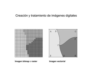 Creación y tratamiento de imágenes digitales




Imagen bitmap o raster   Imagen vectorial
 