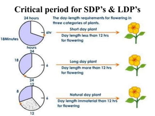 Sdp Ldp Example ubaidafzal018@gmail.com