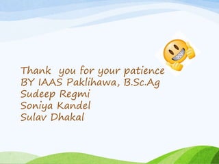 Thank you for your patience
BY IAAS Paklihawa, B.Sc.Ag
Sudeep Regmi
Soniya Kandel
Sulav Dhakal
 