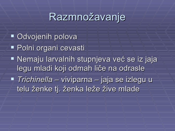 Valjkasti crvi