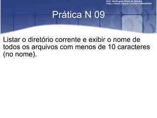 Prática N 09 Listar o diretório corrente e exibir o nome de todos os arquivos com menos de 10 caracteres (no nome). 