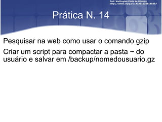 Prática N. 14 Pesquisar na web como usar o comando gzip Criar um script para compactar a pasta ~ do usuário e salvar em /backup/nomedousuario.gz 
