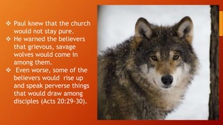  Paul knew that the church
would not stay pure.
 He warned the believers
that grievous, savage
wolves would come in
among them.
 Even worse, some of the
believers would rise up
and speak perverse things
that would draw among
disciples (Acts 20:29-30).
 