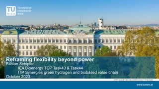 Reframing flexibility beyond power
Fabian Schipfer
IEA Bioenergy TCP Task40 & Task44
ITP Synergies green hydrogen and biobased value chain
October 2023
www.tuwien.at
HTTPS://COLAB.TUWIEN.AC.AT/DISPLAY/CD/1.5.+VORLAGEN
 