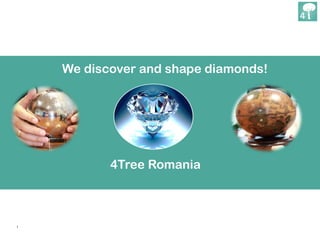 1
We discover and shape diamonds!
4Tree Romania
 