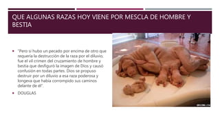 QUE ALGUNAS RAZAS HOY VIENE POR MESCLA DE HOMBRE Y
BESTIA
 “Pero si hubo un pecado por encima de otro que
requería la destrucción de la raza por el diluvio,
fue el vil crimen del cruzamiento de hombre y
bestia que desfiguró la imagen de Dios y causó
confusión en todas partes. Dios se propuso
destruir por un diluvio a esa raza poderosa y
longeva que había corrompido sus caminos
delante de él”.
 DOUGLAS
 